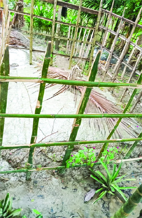 Image of মো: আবু জাফর হাওলাদার